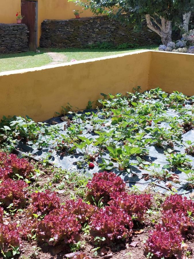 Casas De Maragouzos Villa Silleda Bagian luar foto